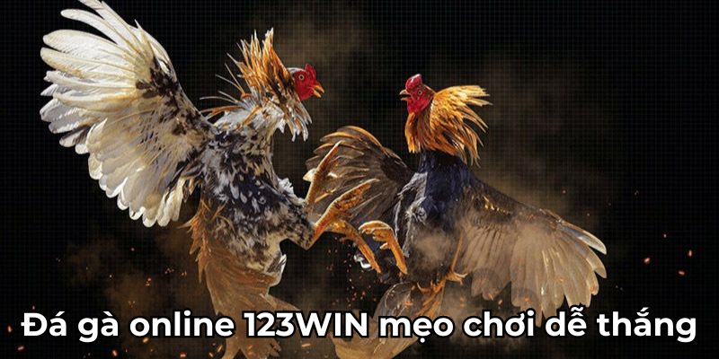 Đá gà online 123WIN mẹo chơi dễ thắng